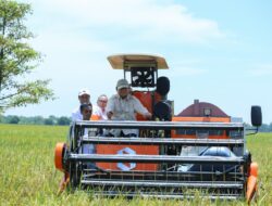 Presiden Prabowo Pimpin panen serentak di 14 provinsi dan 157 kabupaten/kota